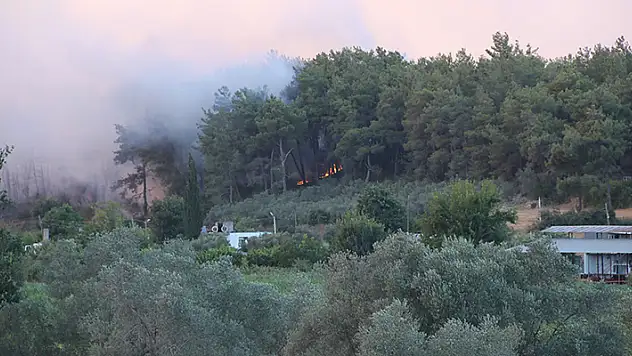 Manavgat'ta orman yangını yerleşim yerlerine sıçradı: 4 mahalle boşaltıldı