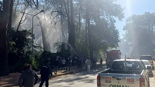 Manavgat'ta oteller bölgesine yakın noktada orman yangını
