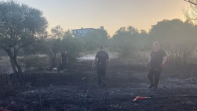 Mangal ateşi 2 dönümdeki ağaç ve çalılıkları yaktı