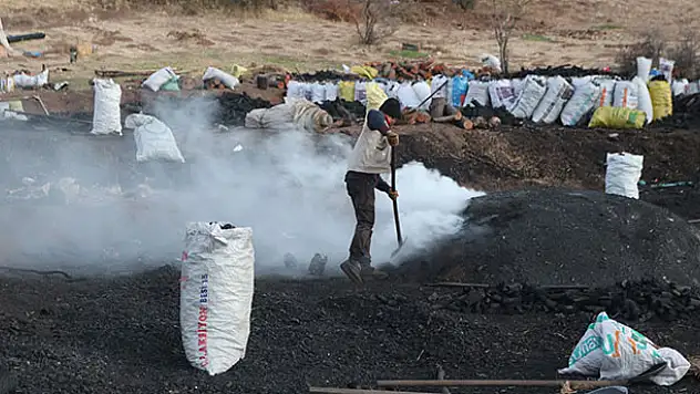 Mangal kömürü işçilerinin 'ekmek' mücadelesi