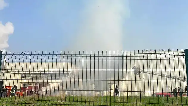 Manisa'da kağıt fabrikasının bahçesinde yangın
