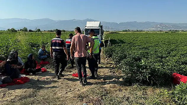 Manisa'da korkunç olay! Kamyonla geri manevra yaparken tarlada uyuyan Ayşenur'u ezerek öldüren şoförü de çocuğun yakınları öldürdü
