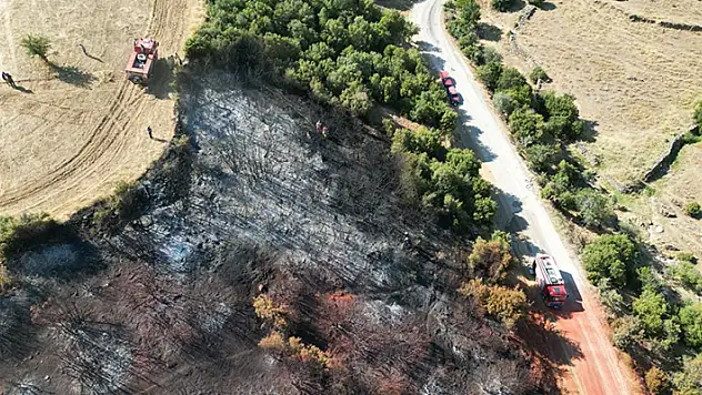 Manisa'da makilik alanda çıkan yangın kontrol altına alındı
