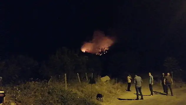 Manisa'da orman yangını başladı