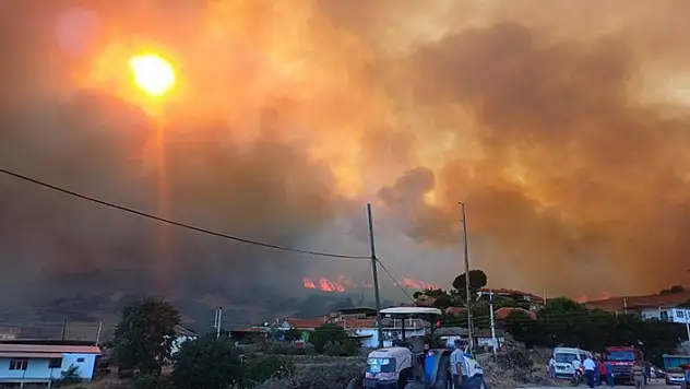 Manisa'da orman yangınında 300 hektar alan zarar gördü
