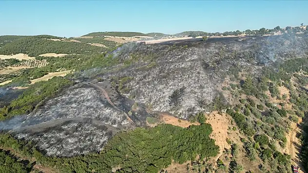 Manisa'nın Kula ilçesindeki orman yangını söndürüldü
