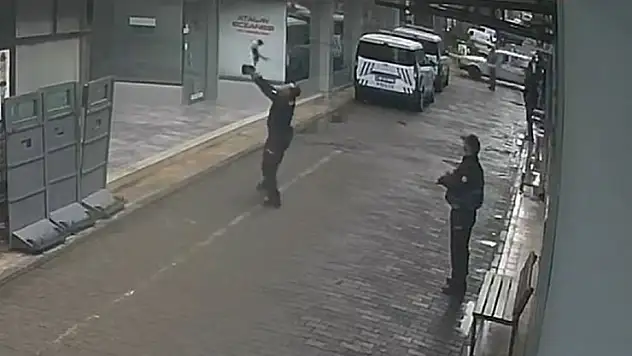 Manisa'da binadan düşen kediyi polis kurtardı