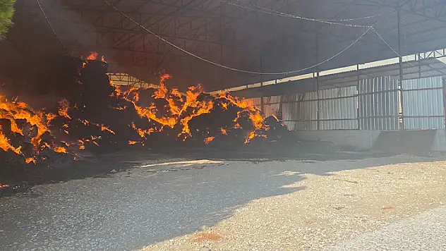 Manisa'da çiftlik yangını: 2 bin balya saman kül oldu
