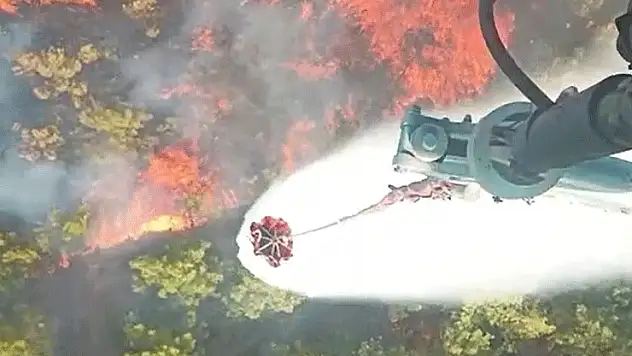 Manisa'da orman yangını kontrol altına alındı