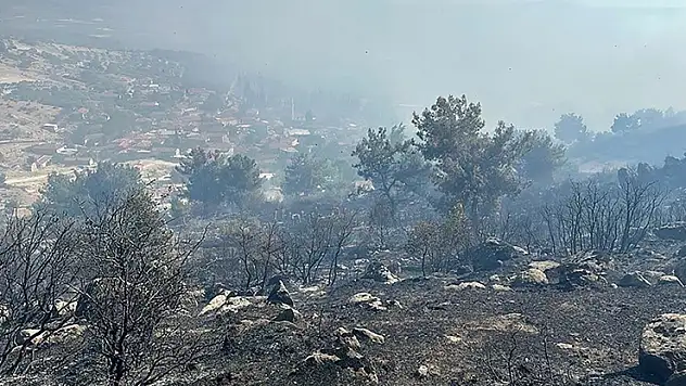 Manisa'nın Kırkağaç ilçesindeki orman yangını kontrol altına alındı