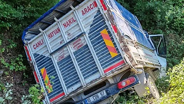 Manyas'ta trafik kazası: 1 yaralı