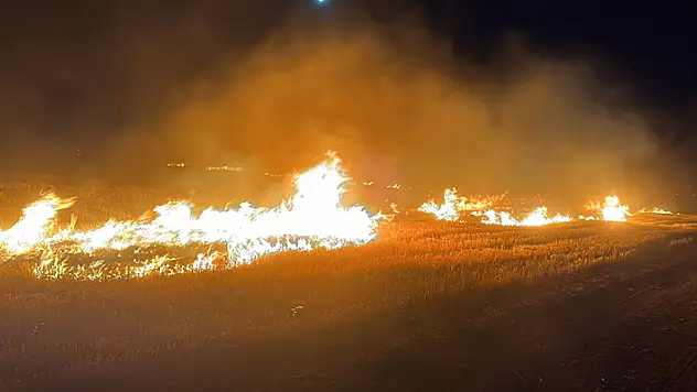 Mardin'de 5 noktada anız yangını çıktı

