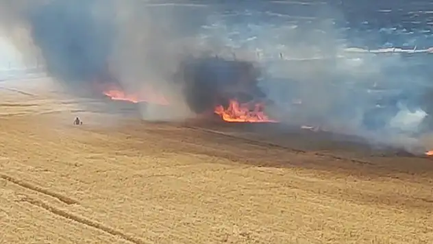 Mardin'de, Suriye sınırındaki mayınlı bölgede çıkan yangın 30 dönüm buğday ekili alanı yaktı