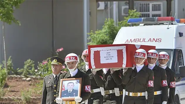 Mardin'de terör operasyonu