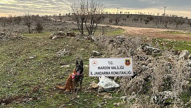 Mardin'de yola tuzaklanan EYP imha edildi


