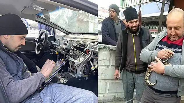 Mardin'den Konya'ya gelen aracın ön konsol kısmına kaçan yılan, çıkarılarak sahibine teslim edildi
