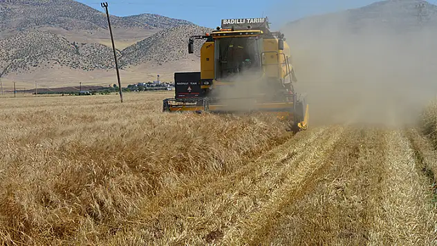 Mardin Ovası'nda hasat zamanı
