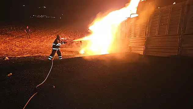 Mardin'de, devrilerek alev alan tırın şoförü yanarak öldü