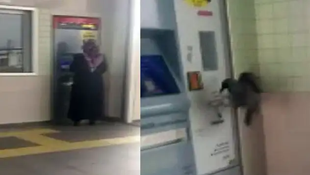 Marmaray'da kartına yükleme yapan kadının parasını çalan karga kamerada