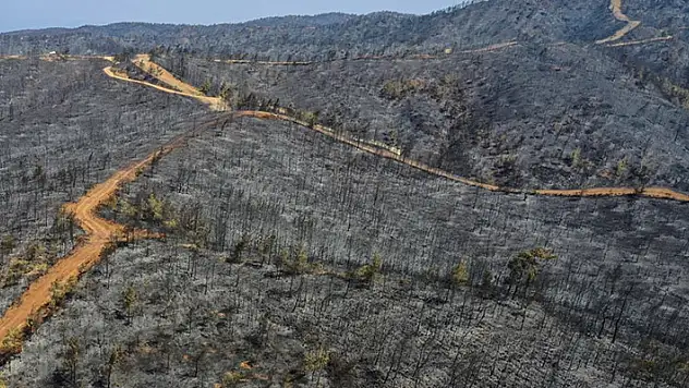Marmaris yangınının bilançosu: Yeşilden eser kalmadı