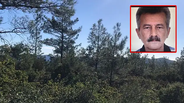 Marmaris'te çıntar toplarken dağda kaybolan adamdan bir iz bulundu