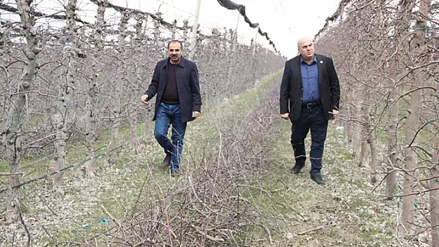 Mart ayının soğuk geçmesi elmada don riskini azalttı

