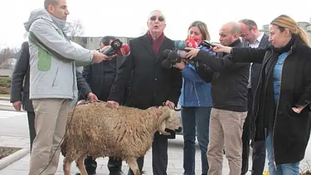 Meclis böylesini ilk kez gördü