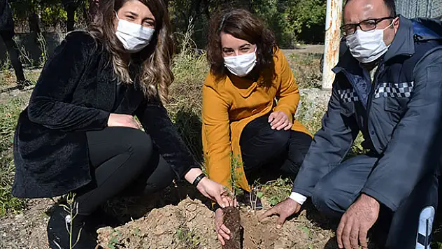 MEDAŞ, 'Bir fidan, bir nefes' projesiyle geleceğe nefes oldu