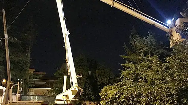 MEDAŞ ekibi yavru kediyi kurtardı