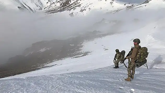 Mehmetçik'ten Ağrı'da teröristlere darbe