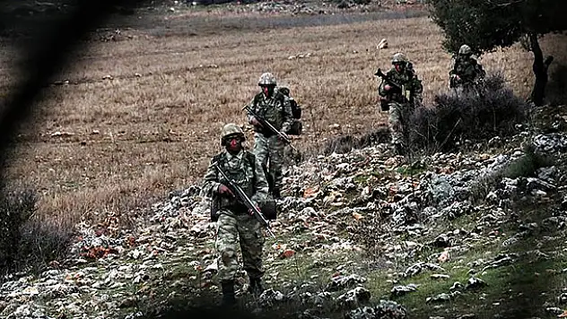 Mehmetçik'ten teröristlerin kış üslenmesine darbe