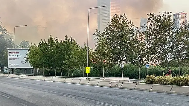 Meles Deltası'nda çıkan yangın nedeniyle iki cadde trafiğe kapatıldı
