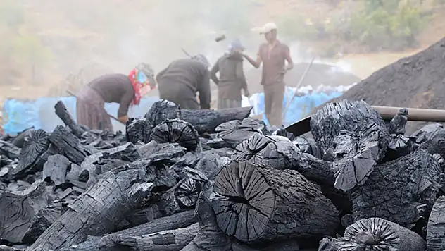Memleketlerinden kilometrelerce uzakta mangal kömürü üretiyorlar
