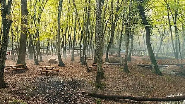 Menderes Gümüldür'de C tipi mesire alanı 10 yıllığına kiraya verilecek
