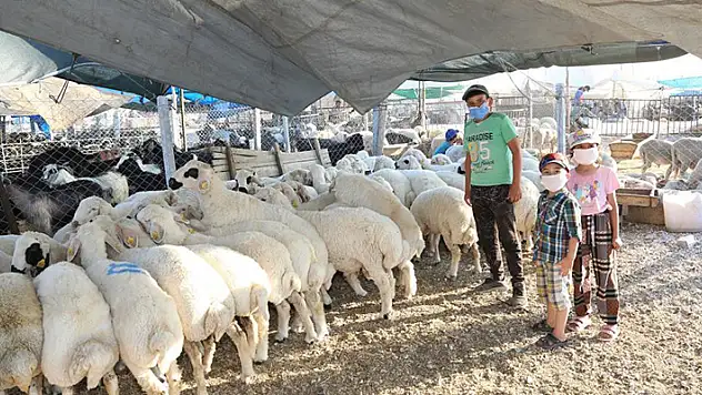 Meram Belediyesi Kurban Bayramı'na hazır
