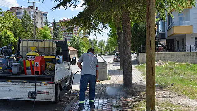 Meram'da bahar temizliği başladı