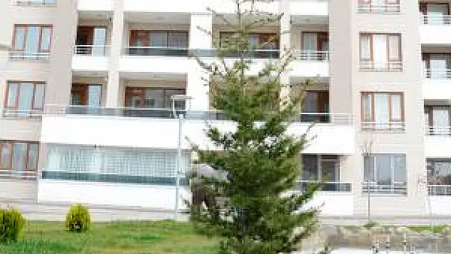 Meram'da yapılar fidanlarla yükseliyor