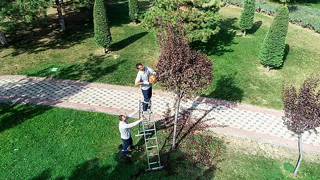 Meram'ın park ve bahçelerine kış bakımı yapılıyor
