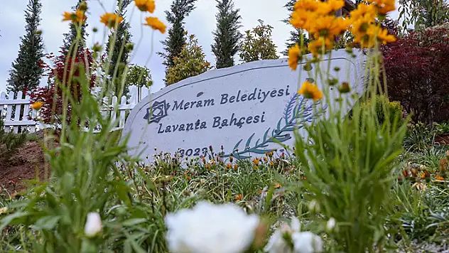 Meram Lavanta Bahçesi ziyaretçilerini ağırlamak için gün sayıyor