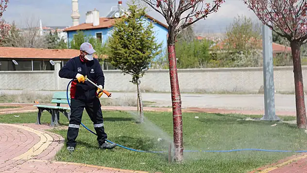 Meram'ın park ve bahçelerine bahar dokunuşu