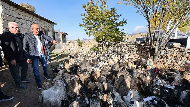 Meram'ın yüzlerce yıllık geleneği şölene dönüştü