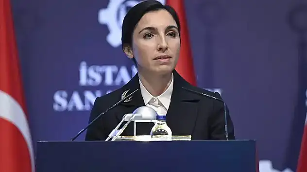 Merkez Bankası Başkanı Hafize Gaye Erkan görevden affını istedi
