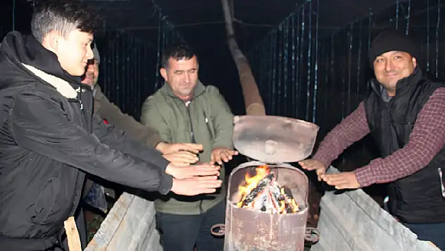 Mersin'de çiftçiler zirai don nöbeti tutuyor
