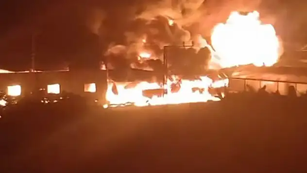 Mersin'de, limon paketleme tesisinde yangın
