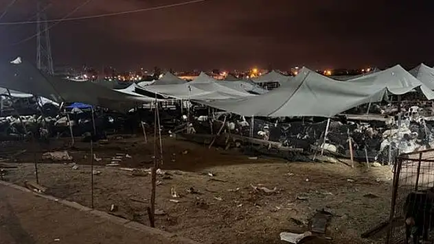 Mersin'de otomobil kurbanlık hayvan pazarına girdi: 8 yaralı
