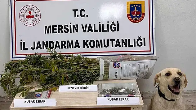 Mersin'de uyuşturucu operasyonunda 7 gözaltı
