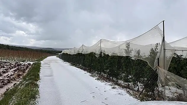 Mersin Erdemli'de dolu yağışı etkili oldu
