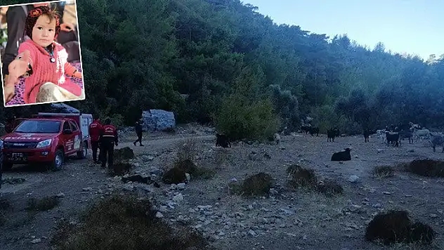 Mersin'in Gülnar ilçesinde kaybolan 3 yaşındaki kız çocuğundan haber alınamıyor
