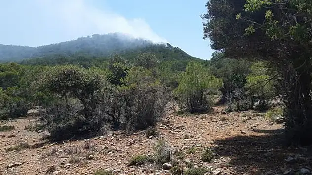Mersin ve Muğla'da orman yangınları: Müdahale sürüyor
