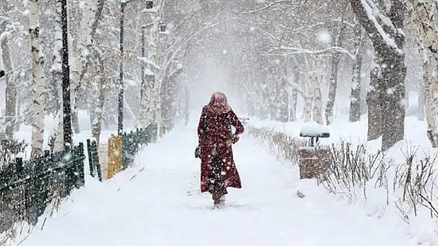 Meteoroloji çok sayıda il için kuvvetli kar yağışı uyarısı yaptı
